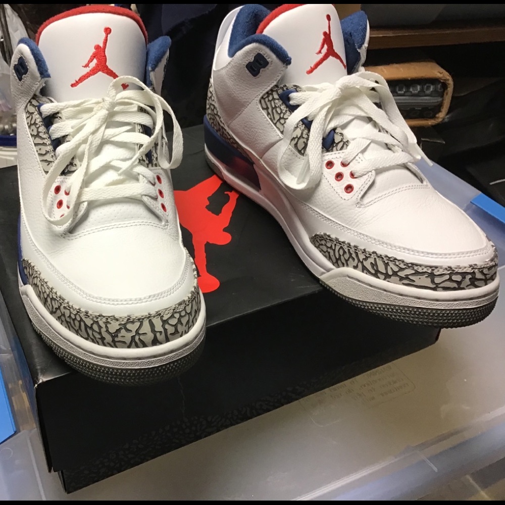 Air Jordan 3 True Blue 10.5